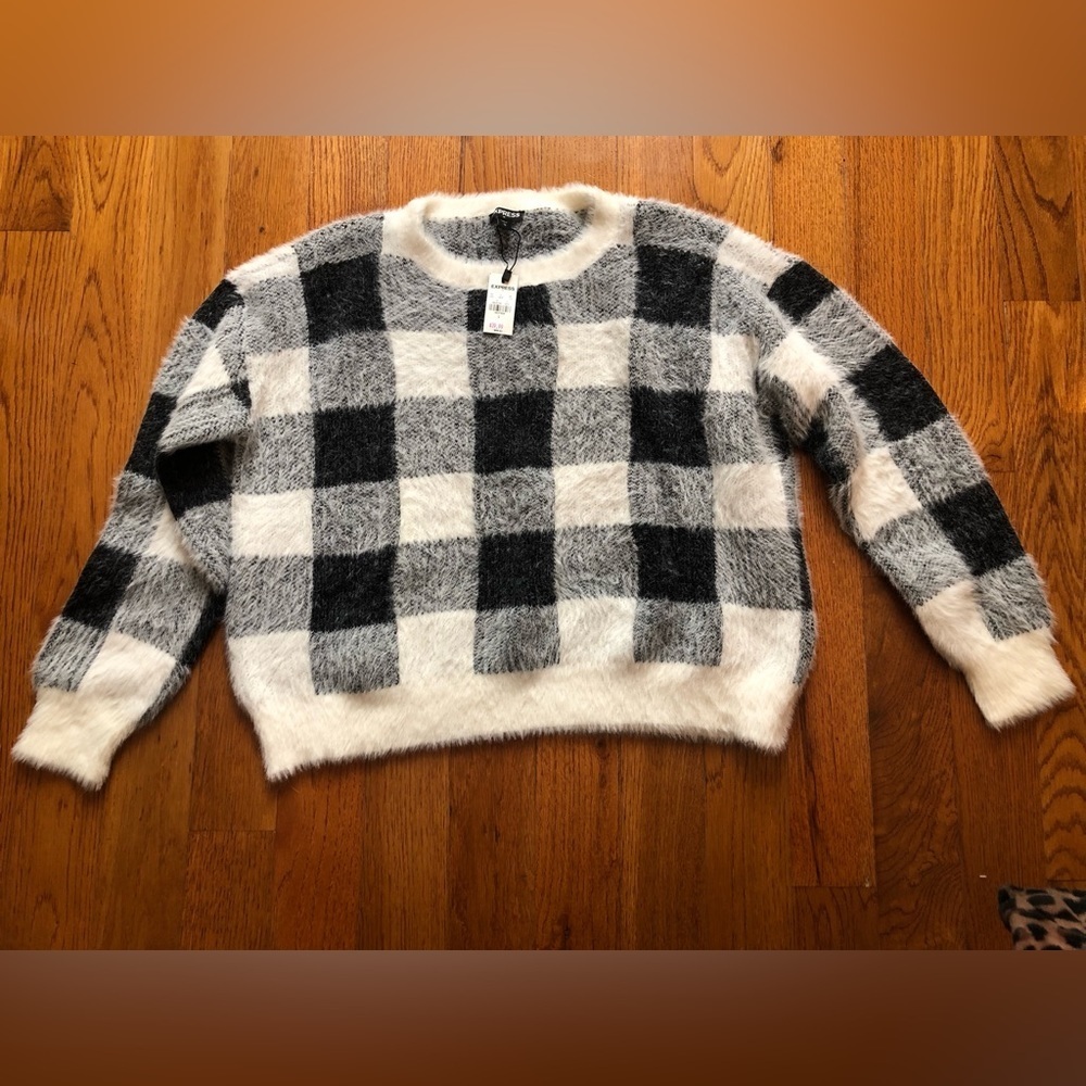 NWT Express Sweater